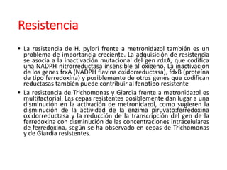 Resistencia
• La resistencia de H. pylori frente a metronidazol también es un
problema de importancia creciente. La adquisición de resistencia
se asocia a la inactivación mutacional del gen rdxA, que codifica
una NADPH nitrorreductasa insensible al oxígeno. La inactivación
de los genes frxA (NADPH flavina oxidorreductasa), fdxB (proteína
de tipo ferredoxina) y posiblemente de otros genes que codifican
reductasas también puede contribuir al fenotipo resistente
• La resistencia de Trichomonas y Giardia frente a metronidazol es
multifactorial. Las cepas resistentes posiblemente dan lugar a una
disminución en la activación de metronidazol, como sugieren la
disminución de la actividad de la enzima piruvato:ferredoxina
oxidorreductasa y la reducción de la transcripción del gen de la
ferredoxina con disminución de las concentraciones intracelulares
de ferredoxina, según se ha observado en cepas de Trichomonas
y de Giardia resistentes.
 