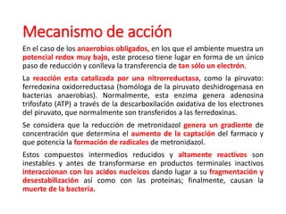 Mecanismo de acción
En el caso de los anaerobios obligados, en los que el ambiente muestra un
potencial redox muy bajo, este proceso tiene lugar en forma de un único
paso de reducción y conlleva la transferencia de tan sólo un electrón.
La reacción esta catalizada por una nitrorreductasa, como la piruvato:
ferredoxina oxidorreductasa (homóloga de la piruvato deshidrogenasa en
bacterias anaerobias). Normalmente, esta enzima genera adenosina
trifosfato (ATP) a través de la descarboxilación oxidativa de los electrones
del piruvato, que normalmente son transferidos a las ferredoxinas.
Se considera que la reducción de metronidazol genera un gradiente de
concentración que determina el aumento de la captación del farmaco y
que potencia la formación de radicales de metronidazol.
Estos compuestos intermedios reducidos y altamente reactivos son
inestables y antes de transformarse en productos terminales inactivos
interaccionan con los acidos nucleicos dando lugar a su fragmentación y
desestabilización así como con las proteínas; finalmente, causan la
muerte de la bacteria.
 