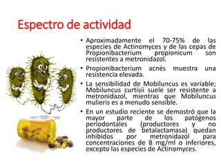 Espectro de actividad
• Aproximadamente el 70-75% de las
especies de Actinomyces y de las cepas de
Propionibacterium propionicum son
resistentes a metronidazol.
• Propionibacterium acnés muestra una
resistencia elevada.
• La sensibilidad de Mobiluncus es variable;
Mobiluncus curtisii suele ser resistente a
metronidazol, mientras que Mobiluncus
mulieris es a menudo sensible.
• En un estudio reciente se demostró que la
mayor parte de los patógenos
periodontales (productores y no
productores de betalactamasa) quedan
inhibidos por metronidazol para
concentraciones de 8 mg/ml o inferiores,
excepto las especies de Actinomyces.
 