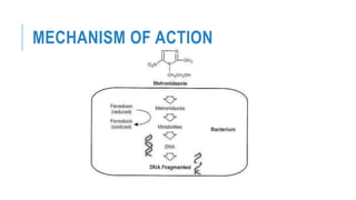 MECHANISM OF ACTION
 