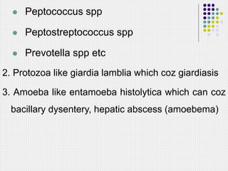  Peptococcus spp
 Peptostreptococcus spp
 Prevotella spp etc
2. Protozoa like giardia lamblia which coz giardiasis
3. Amoeba like entamoeba histolytica which can coz
bacillary dysentery, hepatic abscess (amoebema)
 