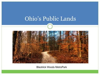 Ohio’s Public Lands
Blacklick Woods MetroPark
 