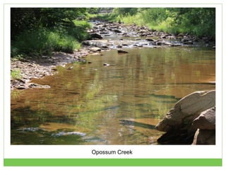 Opossum Creek
 