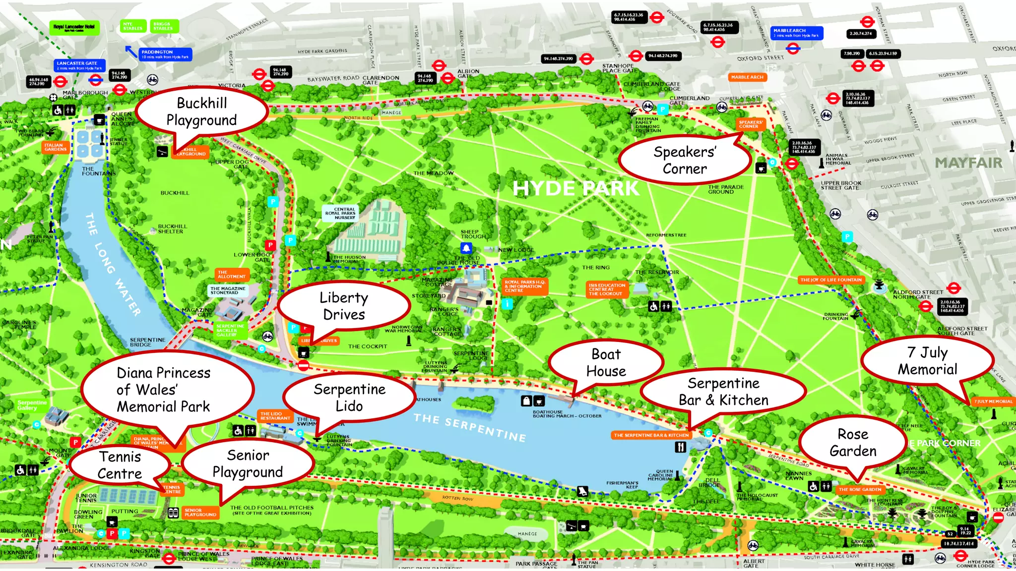 Rose 
Garden 
Diana Princess 
of Wales’ 
Memorial Park 
Senior 
Playground 
Tennis 
Centre 
Speakers’ 
Corner 
Buckhill 
Playground 
Boat 
House 
Serpentine 
Bar & Kitchen 
7 July 
Memorial 
Liberty 
Drives 
Serpentine 
Lido 
 