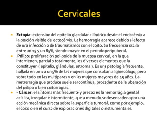  Ectopia: extensión del epitelio glandular cilíndrico desde el endocérvix a
la porción visible del ectocérvix. La hemorragia aparece debido al efecto
de una infección o de traumatismos con el coito. Su frecuencia oscila
entre un 15 y un 85%, siendo mayor en el período peripuberal.
 Pólipo: proliferación polipoide de la mucosa cervical, en la que
intervienen, parcial o totalmente, los diversos elementos que la
constituyen ( epitelio, glándulas, estroma ). Es una patología frecuente,
hallada en un 1 a un 5% de las mujeres que consultan al ginecólogo, pero
sobre todo en las multíparas y en las mujeres mayores de 45 años. La
metrorragia que produce suele ser contínua, procedente de la ulceración
del pólipo o bien coitorragias.
 - Cáncer: el síntoma más frecuente y precoz es la hemorragia genital
acíclica, irregular e intermitente, que a menudo se desencadena por una
acción mecánica directa sobre la superficie tumoral, como por ejemplo,
el coito o en el curso de exploraciones digitales o instrumentales.
 