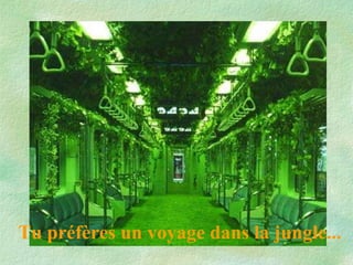 Tu préfères un voyage dans la jungle...