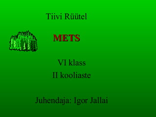 Tiivi Rüütel METS VI klass II kooliaste Juhendaja: Igor Jallai 