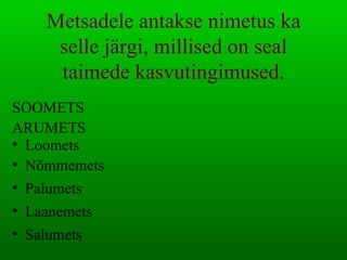 Palumets Mets | PPT