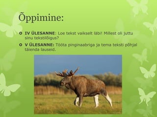 Õppimine:
 IV ÜLESANNE: Loe tekst vaikselt läbi! Millest oli juttu
sinu tekstilõigus?
 V ÜLESANNE: Tööta pinginaabriga ja tema teksti põhjal
täienda lauseid.
 