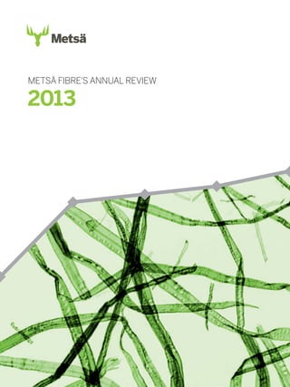 METSÄ FIBRE'S ANNUAL REVIEW

2013

 