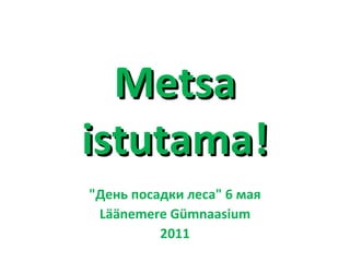 Metsa istutama! &quot;День посадки леса&quot; 6 мая L äänemere Gümnaasium 2011 