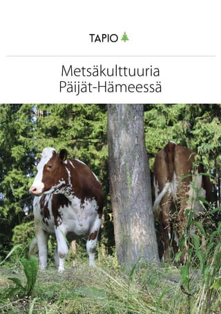 Metsäkulttuuria
Päijät-Hämeessä
 