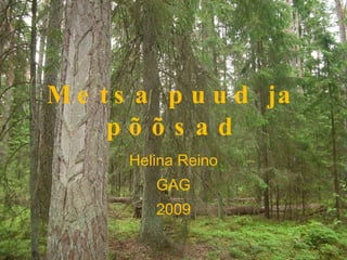 Metsa puud ja põõsad Helina Reino GAG 2009 