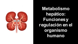 Metabolismo
hepático:
Funcionesy
regulación en el
organismo
humano
 