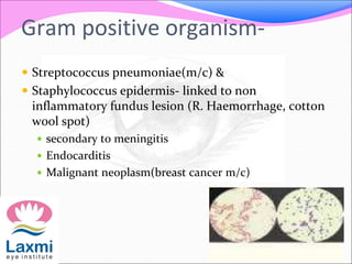 Gram positive organism-
 Streptococcus pneumoniae(m/c) &
 Staphylococcus epidermis- linked to non
inflammatory fundus lesion (R. Haemorrhage, cotton
wool spot)
 secondary to meningitis
 Endocarditis
 Malignant neoplasm(breast cancer m/c)
 