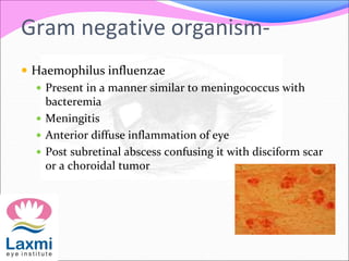 Gram negative organism-
 Haemophilus influenzae
 Present in a manner similar to meningococcus with
bacteremia
 Meningitis
 Anterior diffuse inflammation of eye
 Post subretinal abscess confusing it with disciform scar
or a choroidal tumor
 