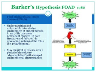 Barker‟s Hypothesis FOAD
 Fetal origins of adult-onset

diseases (FOAD)

 Under nutrition and

unfavorable intrauterine
environment at critical periods
in early life can cause
permanent changes (in both
structure and function) in
developing systems of the fetus
(i.e. programming).

 May manifest as disease over a

period of time due to
`dysadaptation‘ with changed
environmental circumstances

1986

 