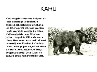 KARU Karu magab talvel oma koopas. Ta lesib samblaga voodertatud oksakuhilal, katuseks lumehang. Iga läheneja või kahtlase krõbina peale keerab ta pead ja kuulatab. Kui keegi päris pesa lähedale juhtub, kargab ta tülitajale vastu. Unest üles aetud karu on kuri, sest ta on näljane. Emakarul sünnivad talvel pesas pojad, sageli kaksikud. Emakaru tukub istuli-küürakil ja soojendab poegi oma süles, nii saavad pojad ka kergemini süüa.  