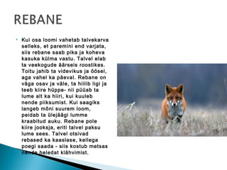    Kui osa loomi vahetab talvekarva
    selleks, et paremini end varjata,
    siis rebane saab pika ja koheva
    kasuka külma vastu. Talvel elab
    ta veekogude äärseis roostikes.
    Toitu jahib ta videvikus ja öösel,
    aga vahel ka päeval. Rebane on
    väga osav ja väle, ta hiilib ligi ja
    teeb kiire hüppe- nii püüab ta
    lume alt ka hiiri, kui kuuleb
    nende piiksumist. Kui saagiks
    langeb mõni suurem loom,
    peidab ta ülejäägi lumme
    kraabitud auku. Rebane pole
    kiire jooksja, eriti talvel paksu
    lume sees. Talvel otsivad
    rebased ka kaaslase, kellega
    poegi saada - siis kostub metsas
    nende heledat klähvimist.
 