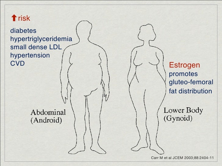 Metabolic Syndrome and Perimenopause