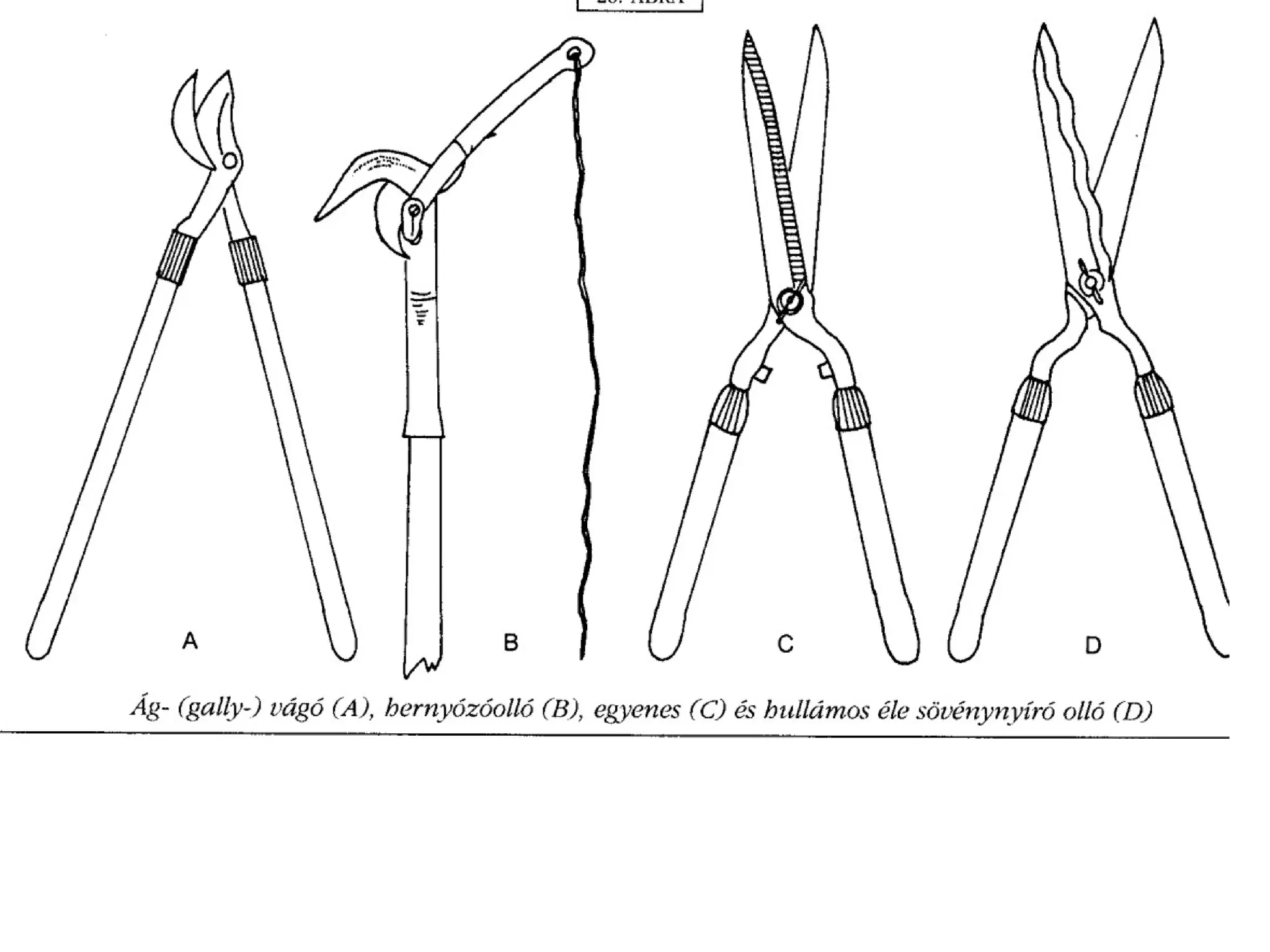 Metszés segédanyag