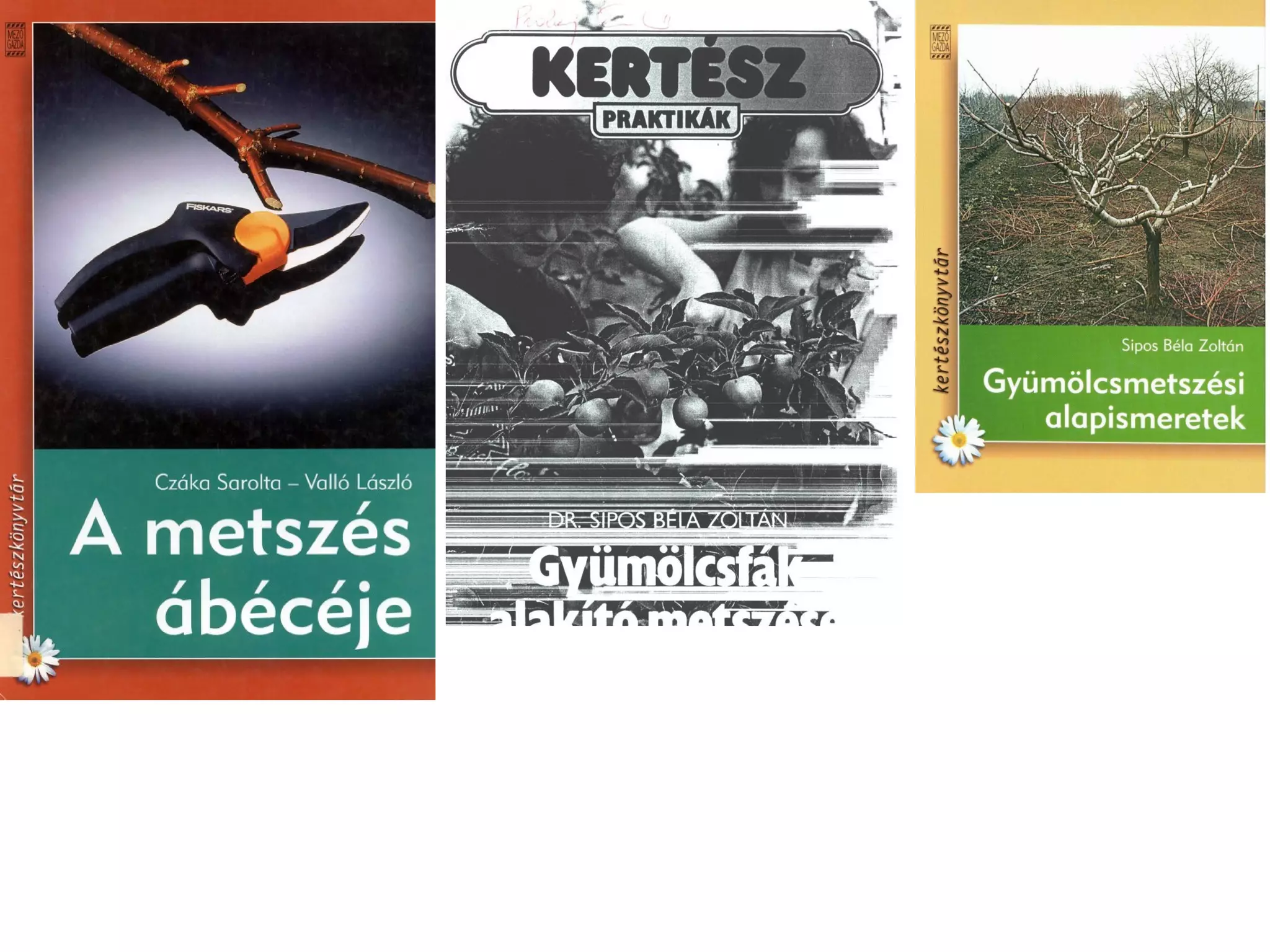 Metszés segédanyag