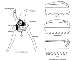Metszés segédanyag