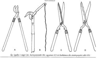 Metszés segédanyag