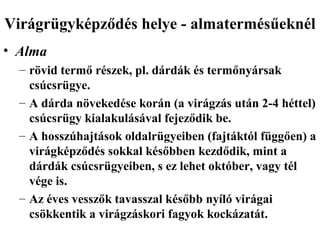 Virágrügyképződés helye - almatermésűeknél
• Alma
  – rövid termő részek, pl. dárdák és termőnyársak
    csúcsrügye.
  – A dárda növekedése korán (a virágzás után 2-4 héttel)
    csúcsrügy kialakulásával fejeződik be.
  – A hosszúhajtások oldalrügyeiben (fajtáktól függően) a
    virágképződés sokkal későbben kezdődik, mint a
    dárdák csúcsrügyeiben, s ez lehet október, vagy tél
    vége is.
  – Az éves vesszők tavasszal később nyíló virágai
    csökkentik a virágzáskori fagyok kockázatát.
 