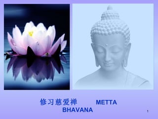 修习慈爱禅  METTA BHAVANA   
