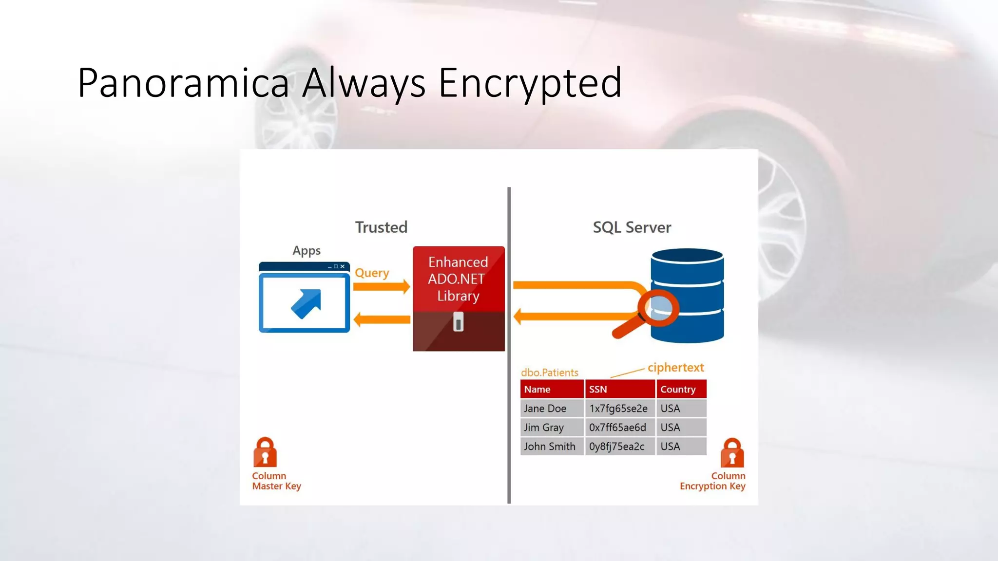 Panoramica Always Encrypted
 