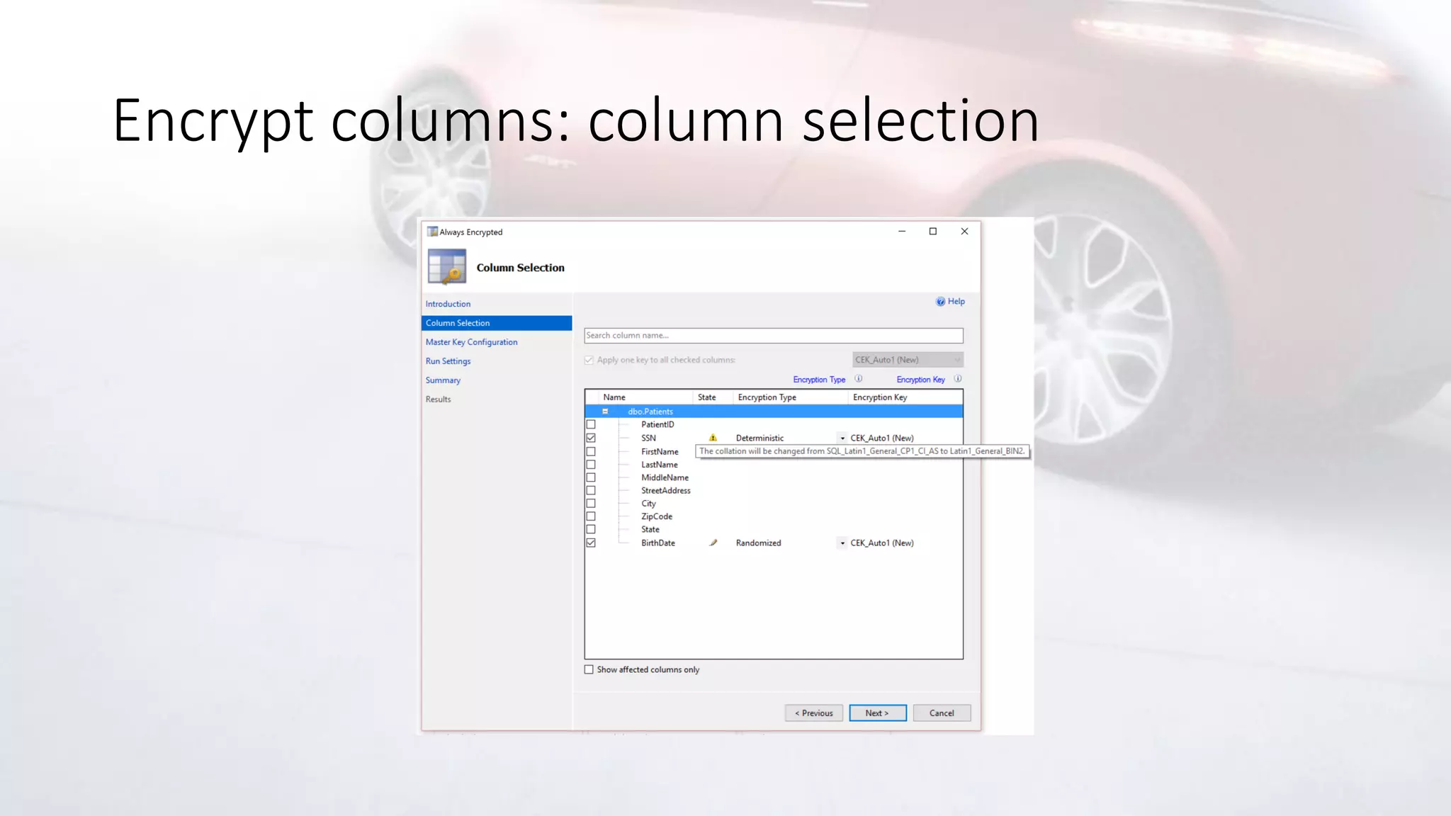 Encrypt columns: column selection
 