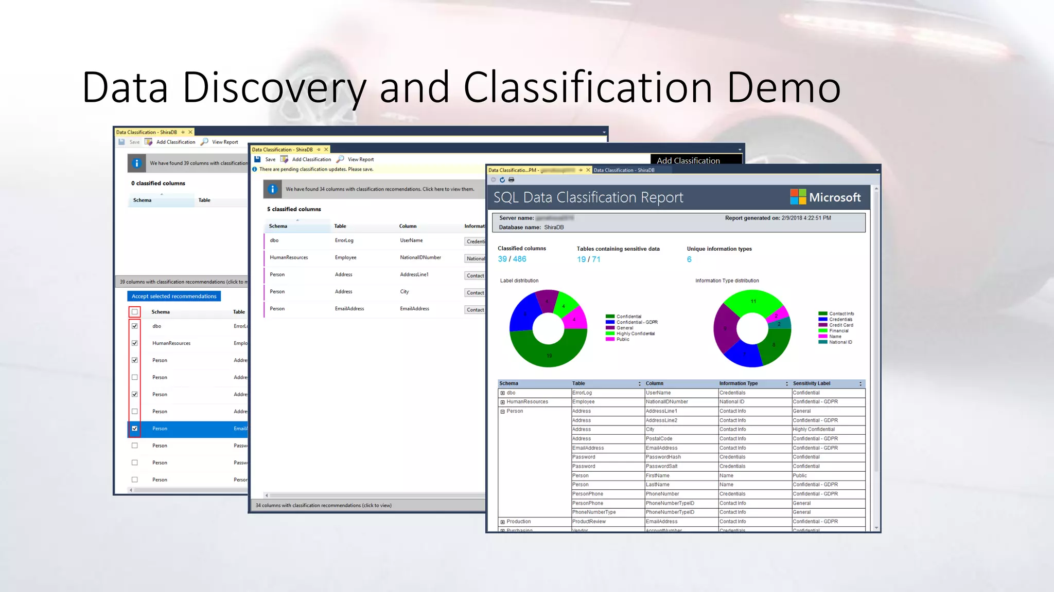 Data Discovery and Classification Demo
 