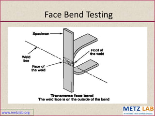 www.metzlab.org
Face Bend Testing
 
