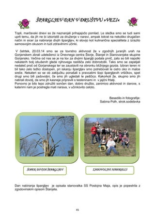 45
ŠPARGLJEV DAN V DRUŠTVU »VEZI«
Topli, marčevski dnevi so že naznanjali prihajajočo pomlad. Le stežka smo se tudi sami
uprli temu, da jih ne bi izkoristili za druženje v naravi, ampak tokrat na nekoliko drugačen
način in sicer za nabiranje divjih špargljev, ki slovijo kot kulinarična specialiteta z izrazito
samosvojim okusom in tudi zdravilnimi učinki.
V četrtek, 20.03.14 smo se za tovrstno aktivnost že v zgodnjih juranjih urah na
Gorjanskem zbrali udeleženci iz Dnevnega centra Štorje, Štanjel in Stanovanjske skupine
Gorjansko. Večina od nas se je na lov za divjimi šparglji podala prvič, zato so bili napotki
nekaterih bolj izkušenih glede njihovega rastišča zelo dobrodošli. Tako smo se zapeljali
nedaleč proč od Gorjanskega ter se zaustavili na obronku bližnjega gozda. Izbran teren ni
bil tako zelo težko dostopen, pri iskanju špargljev smo potrebovali le ostro oko in malce
sreče. Nekateri so se ob zaključku ponašali s pravcatimi šopi špargljevih vršičkov, spet
drugi smo bili zadovoljni, če smo jih ugledali le peščico. Kakorkoli že, skupno smo jih
nabrali dovolj, da smo jih kasneje pripravili s testeninami in v jajčni frtalji.
Ponovno je bilo lepo združiti sončen dan, dobro družbo, zanimivo aktivnost in darove, s
katerimi nam je postregla mati narava, v učinkovito celoto.
Besedilo in fotografije:
Sabina Polh, strok.sodelavka
Dan nabiranja špargljev je opisala stanovalka SS Postojna Maja, opis je popestrila z
zgodovinskim opisom Štanjela.
ŠOPEK DIVJIH ŠPARGLJEV ZADOVOLJNI NABIRALCI
 