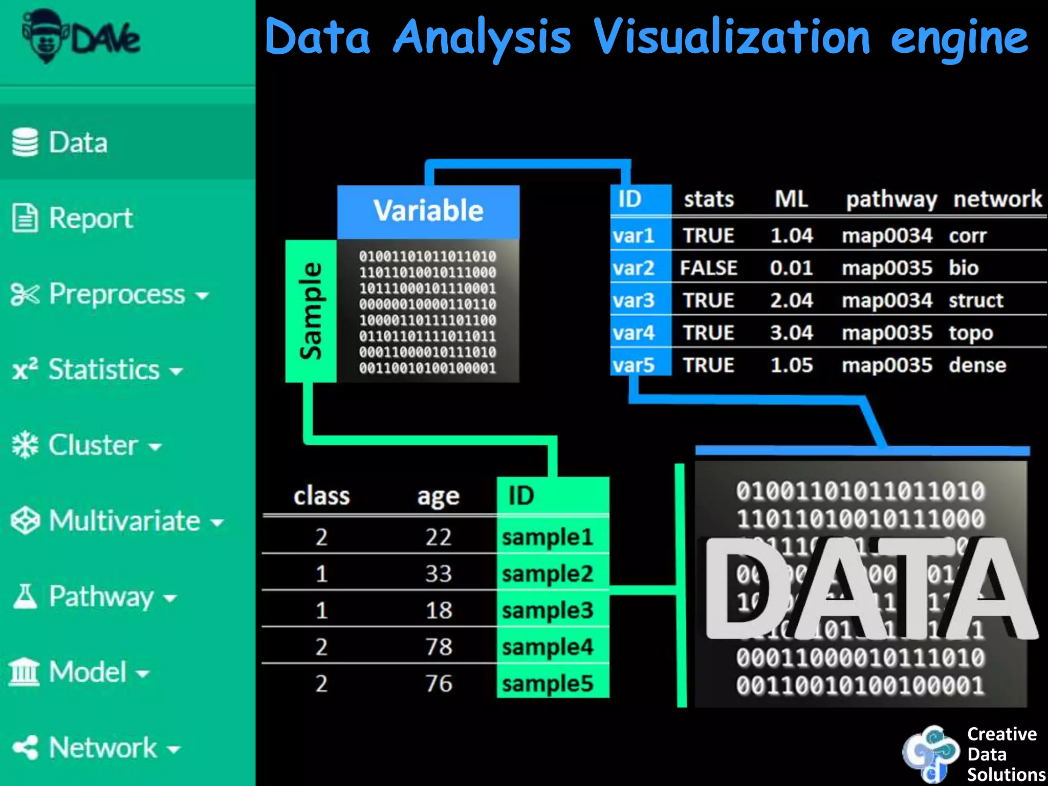 Creative
Data
Solutions
Data Analysis Visualization engine
 