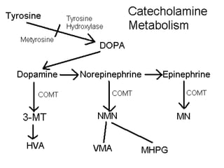 Metyrosine and Psychosis