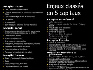 Enjeux classés en 5 capitaux Le capital naturel   L’eau : consommation et pollution  L’énergie : Consommation, substitution renouvelable au fossile L'air : Pollution et gaz à effet de serre  (GES)  Les déchets  La biodiversité  Bruit et odeurs : pollutions internes et externes Le capital social   Gestion des retombées (externalités) économiques, environnementales et sociales  sur le territoire Communication interne  Système de management  Organisation et responsabilités  Participation, implication et motivation du personnel  Intégration territoriale de l'entreprise  Ouverture globale sur l’extérieur Promouvoir une culture sans corruption Le capital humain Travail : Conditions générales et ambiance  Equité  Emploi, compétences, formation  Gestion et prévention des risques  Le capital manufacturé Veille réglementaire Relations avec sous traitants,  fournisseurs Politique d’achat Produits / éco-socio-conception Transport des salariés  Transports et logistique  Gestion et conditions de stockage Fonctionnement et procédés Infrastructures (batiment) Le capital financier Gestion de la réputation Internalisation les coûts environnementaux et sociaux Management des problématiques de durabilité Répartition équitable de la valeur (actionnaires, clients personnel) Obligation redditionnelle et gouvernance Engagement de la direction, visions, valeurs, éthique Stratégie, politique et objectifs  Identification des parties intéressées et lien entre leurs attentes et la politique de l'entreprise Acceptation de nouveaux principes  Mesure de la performance  Communication externe, reporting enjeux de l’expérimentation, avec ajouts de SIGMA 