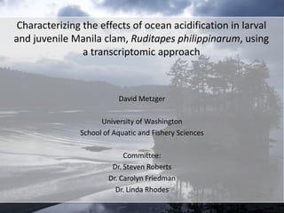 Characterizing the effects of ocean acidification in larval
and juvenile Manila clam, Ruditapes philippinarum, using
                a transcriptomic approach



                          David Metzger

                     University of Washington
               School of Aquatic and Fishery Sciences

                            Committee:
                        Dr. Steven Roberts
                       Dr. Carolyn Friedman
                         Dr. Linda Rhodes
 