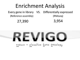 Enrichment Analysis
Every gene in library VS. Differentially expressed
 (Reference assembly)             (RNAseq)

       ...
