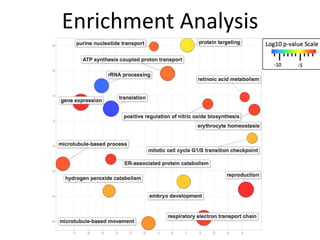 Enrichment Analysis
 
