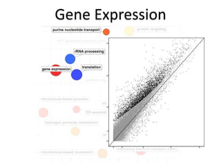 Gene Expression
 