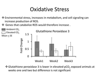 Oxidative Stress
 Environmental stress, increases in metabolism, and cell signaling can
  increase production of ROS.
 G...