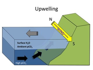 Upwelling
                     N



 Surface H2O
 Ambient pCO2
                            S


High pCO2
 