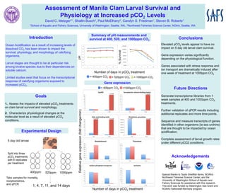 Assessment of Manila Clam Larval Survival and
                                       Physiology at Increased pCO2 Levels
                                   David C. Metzger*1, Shallin Busch2, Paul McElhany2, Carolyn S. Friedman1, Steven B. Roberts1
                     1School   of Aquatic and Fishery Sciences, University of Washington, Seattle, WA., 2Northwest Fisheries Science Center, NOAA, Seattle, WA


                                                                                                            Summary of pH measurements and
                     Introduction                                                                          survival at 400, 520, and 1000ppm CO2                                             Conclusions
Ocean Acidification as a result of increasing levels of                                                                                                                       Elevated pCO2 levels appear to have no
dissolved CO2 has been shown to impact the                                                                                                                                    impact on 5 day old larval clam survival.




                                                                                                                                    % Survival
survival, physiology, and morphology of calcifying
organisms.                                                                                                                                                                    Gene expression varies significantly




                                                             pH
                                                                                                                                                                              depending on the physiological function.
Larval stages are thought to be at particular risk
among bivalve species due to their dependences on                                                                                                                             Genes associated with stress response and
soluble calcium.                                                                                                                                                              ion transport are dramatically induced after
                                                                                                             Number of days in pCO2 treatment                                 one week of treatment at 1000ppm CO2.
Limited studies exist that focus on the transcriptional                                                    = 400ppm CO2       = 520ppm CO2                   = 1000ppm CO2
response of calcifying organisms exposed to
                                                                                                                        Gene expression
increased pCO2.
                                                                                                                      = 400ppm CO2               =1000ppm CO2                              Future Directions
                                                                                                                           >1x109                                   >1x109
                         Goals                                                                                                                                                Generate transcriptome libraries from 1
                                                                                                                                                                              week samples at 400 and 1000ppm CO2
1. Assess the impacts of elevated pCO2 treatments                                                                                                                             treatments.
on clam larval survival and morphology.
                                                                                                                                                                              Further validation of qPCR results including
                                                              Relative gene expression (fold change/min)




2. Characterize physiological changes at the                                                                                                                                  additional replicates and more time points.
molecular level as a result of elevated pCO2
                                                                                                             >1x109        >1x109                   >1x109           >1x109
conditions.                                                                                                                                                                   Sequence and measure transcripts of genes
                                                                                                                                                                              identified in other organisms (ie sea urchins)
                                                                                                                                                                                   i   t



                                                                                                                                                                              that are thought to be impacted by ocean
            Experimental Design                                                                                                                                               acidification.

                                                                                                                                                                              Complete assessment of larval growth rates
 5 day old larvae
                                                                                                                                                                              under different pCO2 conditions.


 Split into three
 pCO2 treatments                                                                                                                                                                       Acknowledgements
 with 6 replicates
 per treatment.


                     400ppm        520ppm      1000ppm
                                                                                                                                                                              Special thanks to Taylor Shellfish farms, NOAA’s
Take samples for mortality,                                                                                                                                                   Northwest Fisheries Science Center, and the
morphometrics,                                                                                                                                                                University of Washington School of Aquatic and
                                                                                                                                                                              Fishery Sciences for assistance with this research.
and qPCR.
                       1, 4, 7, 11, and 14 days                                                                                                                               This work was funded by Washington Sea Grant and
                                                                                                            Number of days in pCO2 treatment                                  NOAA’s Saltonstall-Kennedy program.
 