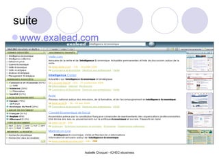 suite www.exalead.com   Isabelle Choquet - ICHEC ebusiness 