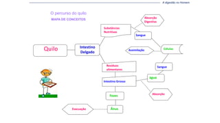 Quilo Intestino
Delgado
Substâncias
Nutritivas
Resíduos
alimentares
Sangue
Evacuação
Absorção
Digestiva
Intestino Grosso
CélulasAssimilação
água
Sangue
Absorção
Fezes
Ânus
O percurso do quilo
MAPA DE CONCEITOS
----------------------------------------------------------------------------------------------------------------------------------------------- A digestão no Homem
 