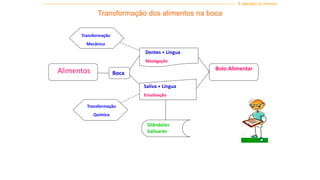 Transformação dos alimentos na boca
Alimentos Boca
Dentes + Língua
Mastigação
Saliva + Língua
Ensalivação
Bolo Alimentar
Glândulas
Salivares
Transformação
Química
Transformação
Mecânica
------------------------------------------------------------------------------------------------------------------------------------------------ A digestão no Homem
 