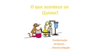 Transformação
do Quimo…
… Intestino Delgado
 