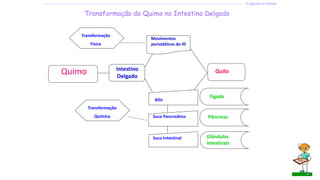 Quimo Intestino
Delgado
Movimentos
peristálticos do ID
Bílis
Quilo
Pâncreas
Transformação
Química
Transformação
Física
Suco Pancreático
Suco Intestinal Glândulas
intestinais
Fígado
Transformação do Quimo no Intestino Delgado
---------------------------------------------------------------------------------------------------------------------------------------------------------------------------------- A digestão no Homem
 